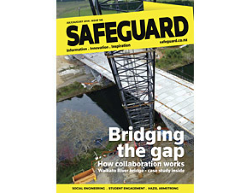 A wider perspective – Article in Safeguard Magazine